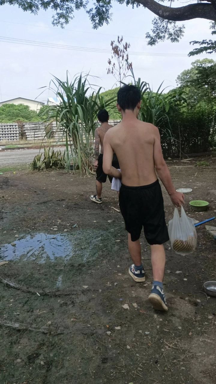柬友投稿